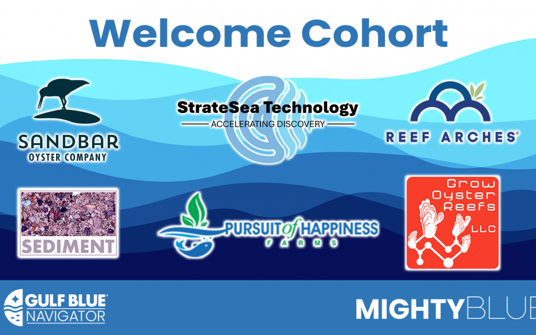 Gulf Blue Navigator Announces Cohort 4 Advancing Living Shoreline Technologies